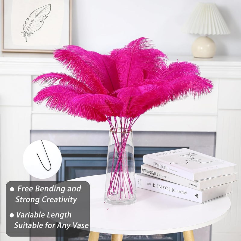 Holmgren Hot Pink Ostrich Feathers - 20pcs Making Kit 22 Inch Ostrich Feathers Bulk for Vase, Floral Arrangement, Home Wedding Party Centerpieces and Easter Gatsbi Decorations - Image 5